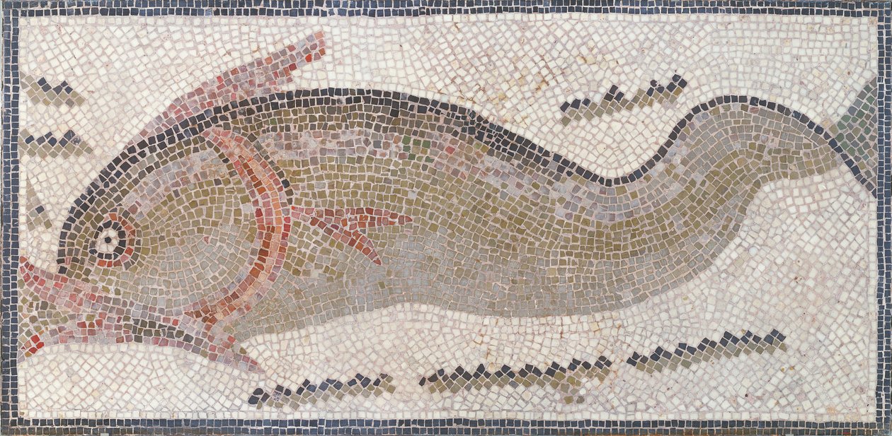 Delfín, de Túnez, siglos III-V d.C. de Roman Roman