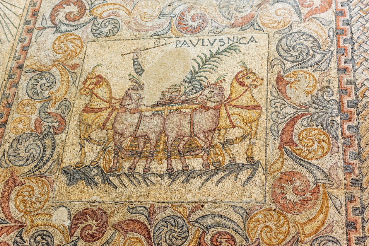 Mosaicos que representan un auriga conduciendo cuatro caballos de Roman Roman
