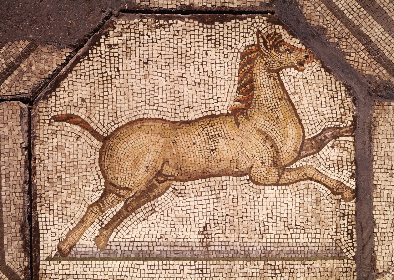 Un caballo, (detalle) de Orfeo encantando a los animales de Roman