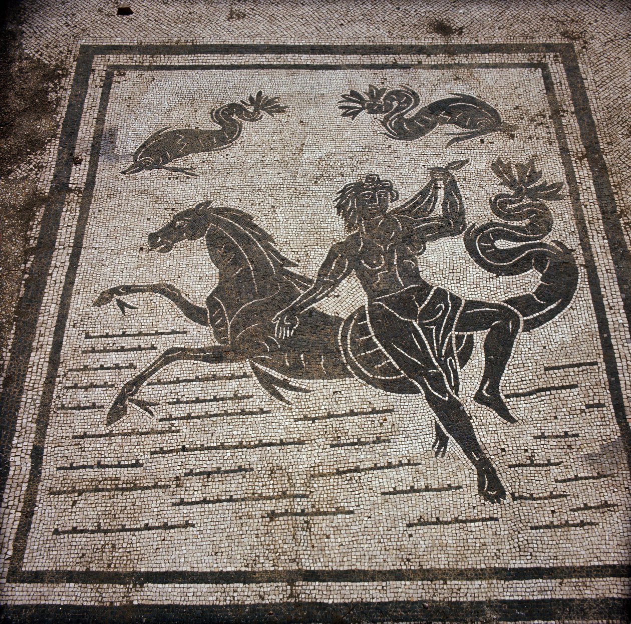 Ostia Antigua. Plaza de las Corporaciones. Mosaico de la Corporación de Navegantes de Sabratha. Una ninfa y un caballo marino de Roman