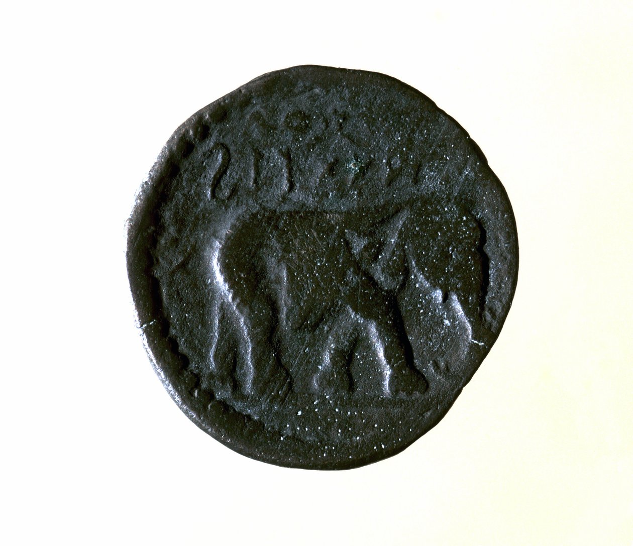 Moneda de Cartago representando un elefante. Siglo III o II a.C. de Roman