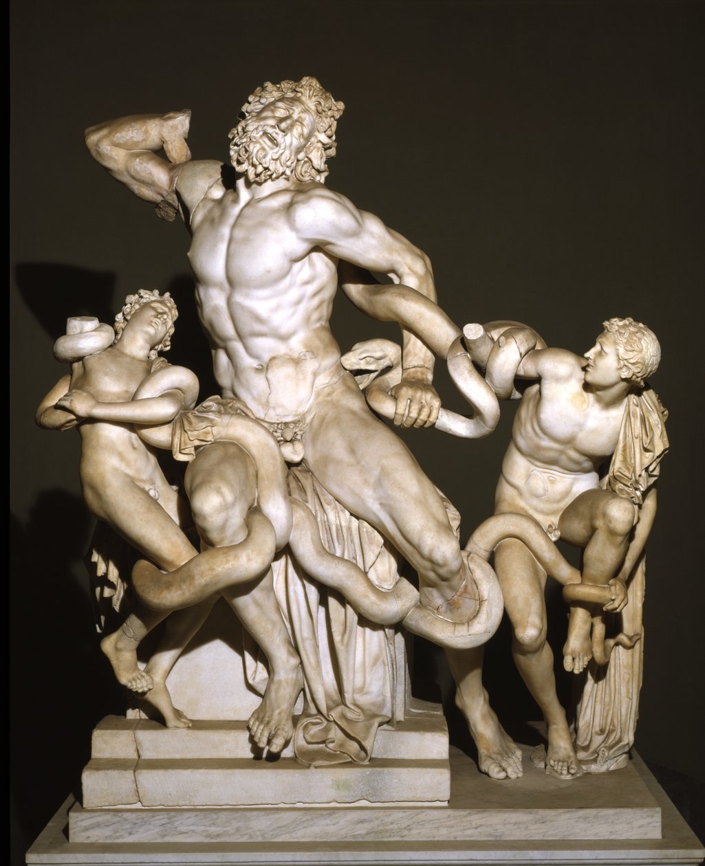 Laocoonte y sus hijos (mármol) de Roman