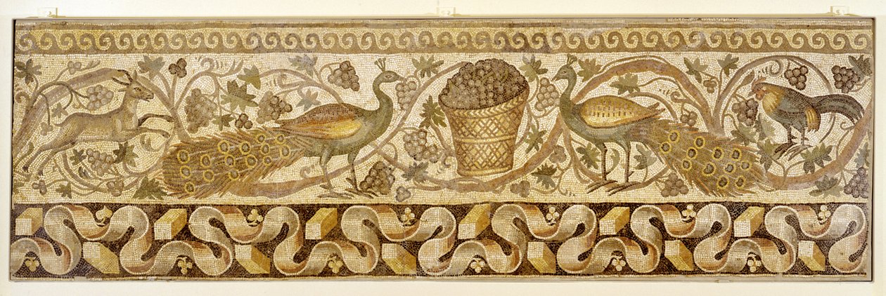 Mosaico de un borde de pergamino de vid con pavos reales, Antioquía, 526-540 de Roman
