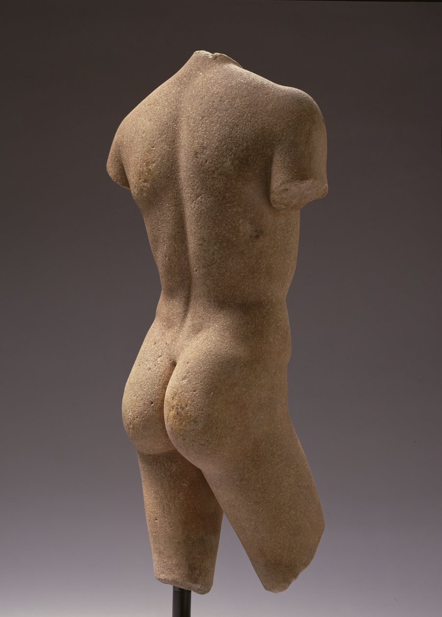 Vista trasera de un joven desnudo de Roman