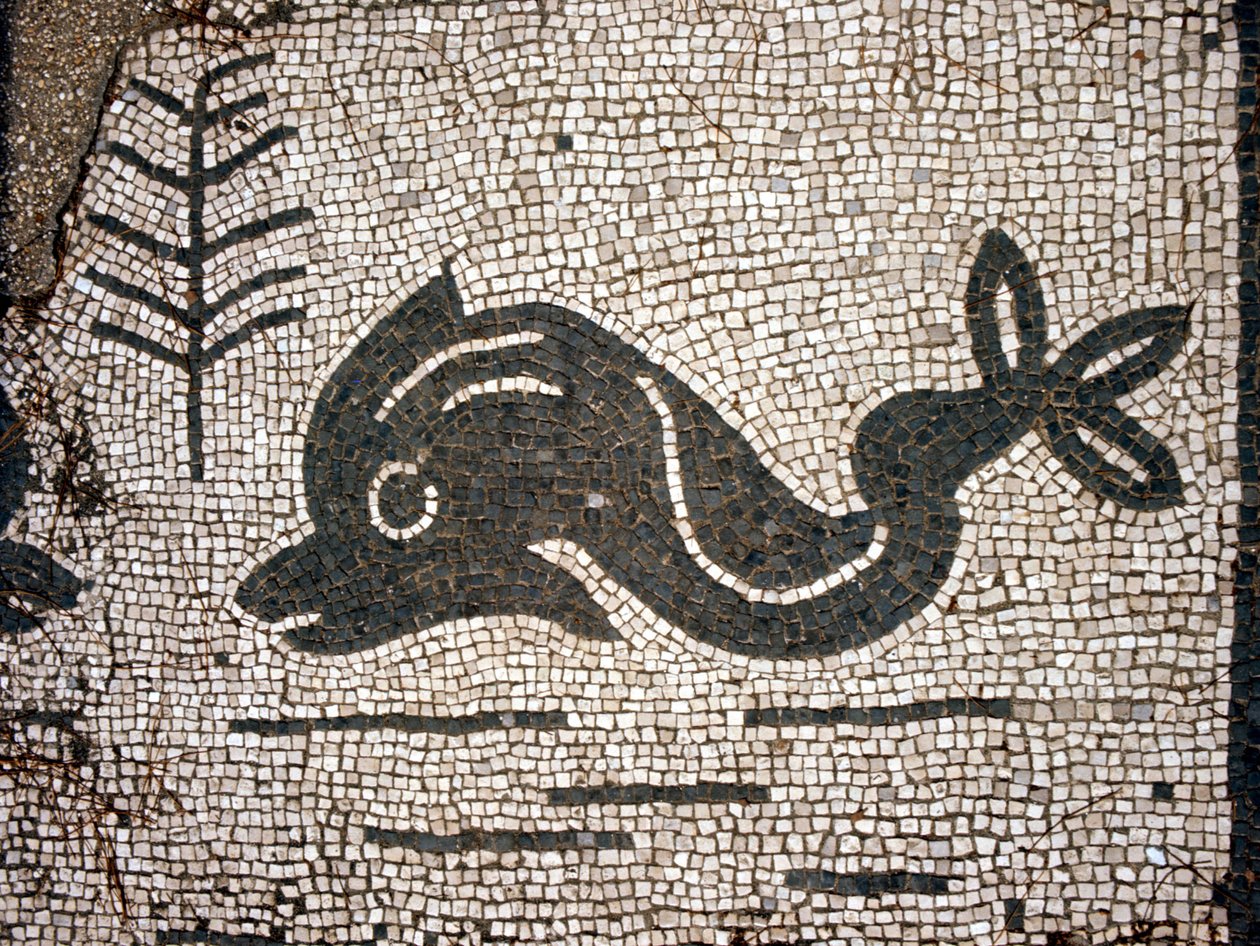 Representación de un delfín después de un mosaico en la plaza de las Corporaciones de Ostia antica de Roman