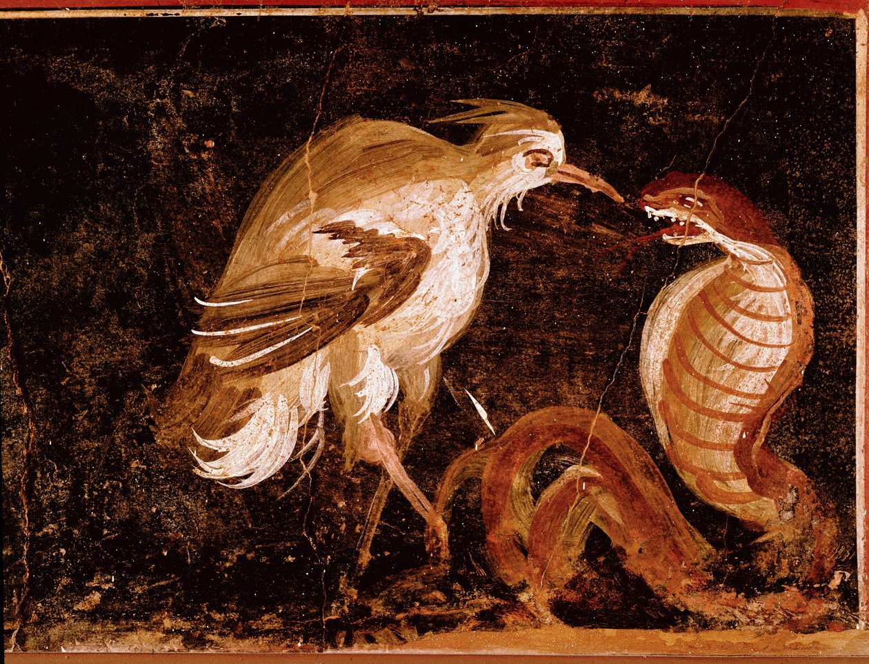 Arte romano: Lucha entre una garza y una cobra. Fresco romano de la casa de los Epigramas, Pompeya, Italia (60-80 d.C.) de Roman