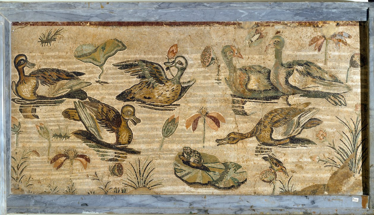 Arte romano: pato, rana y nenúfares en un estanque. Mosaico de la villa de la fauna en Pompeya. Siglo I. Dim. 132x164 cm. Museo Arqueológico Nacional, Nápoles de Roman