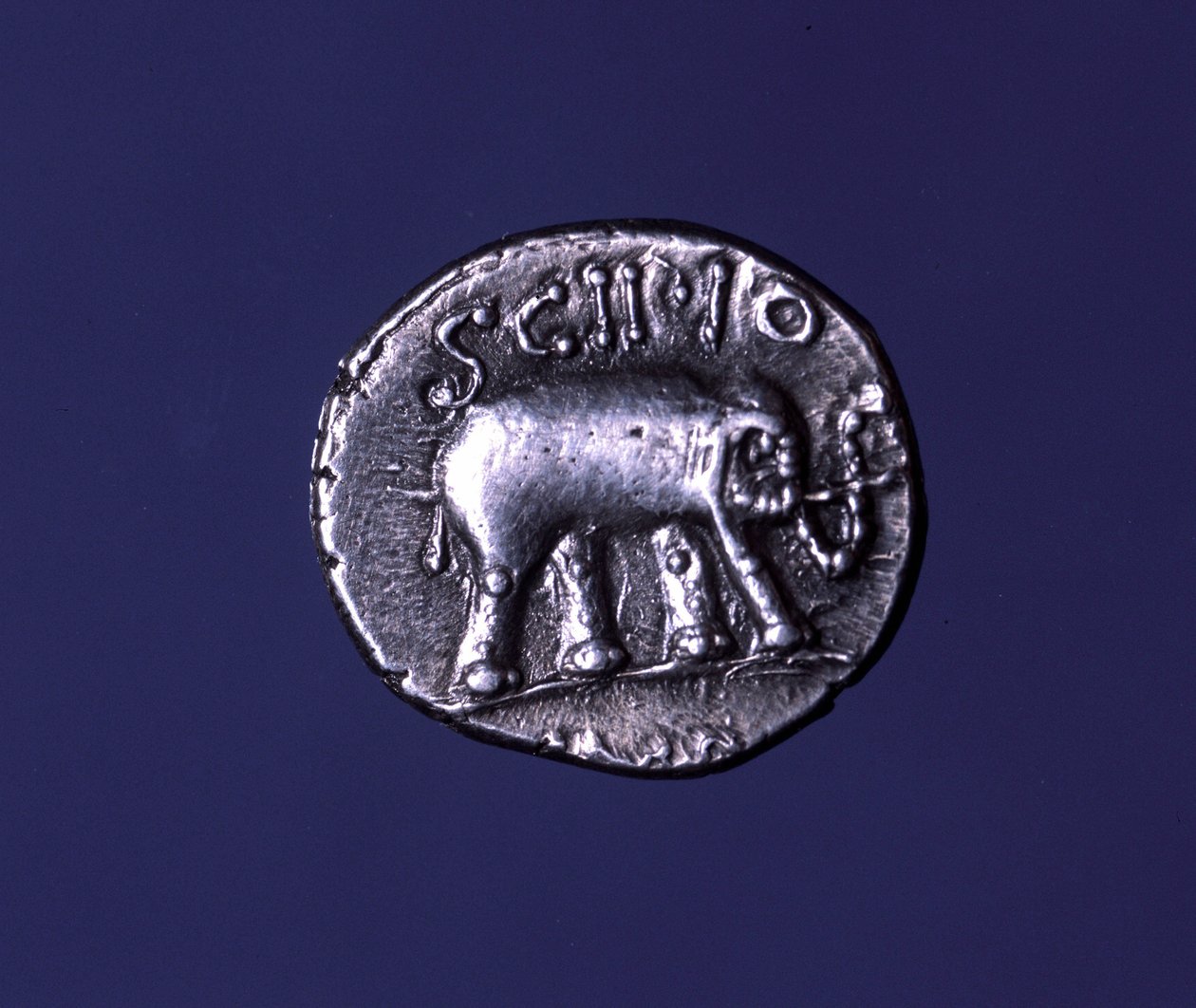 Moneda de plata que representa un elefante, animal fetiche de los Escipiones. Lucius Caecilius Metellus capturó los elefantes cartagineses en 251 a.C. 47-46 a.C. de Roman