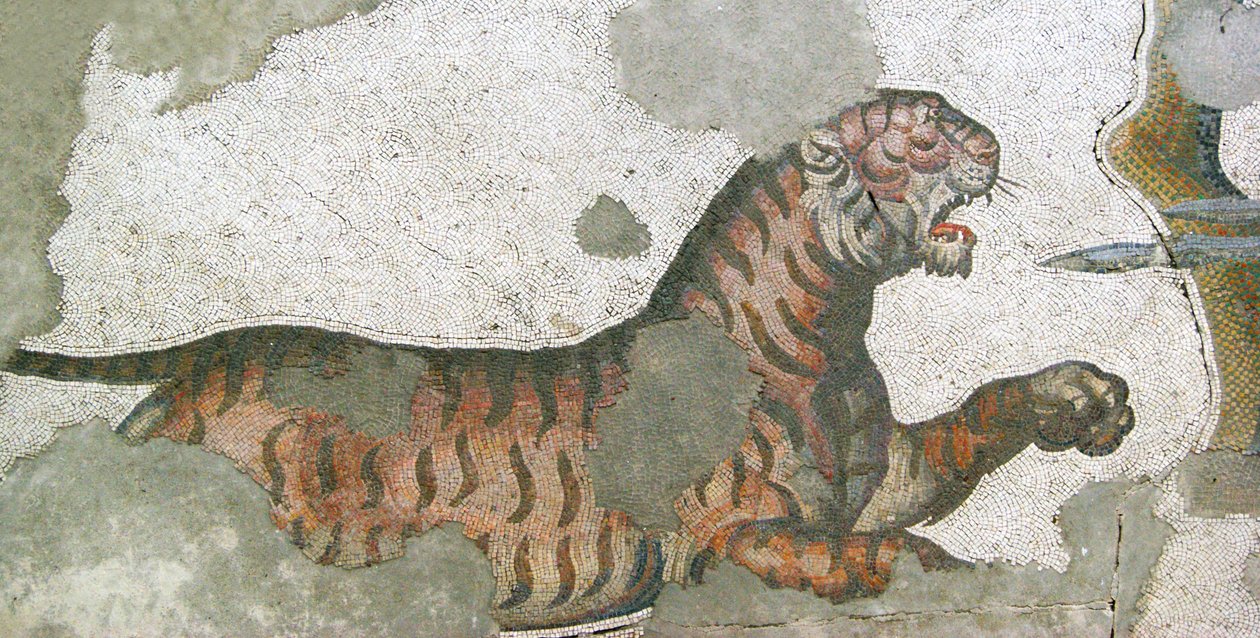 Imagen desconocida de Roman