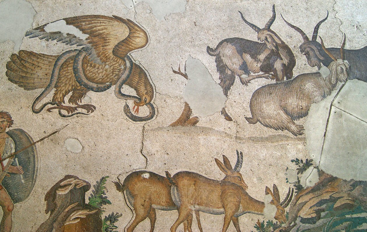Imagen desconocida de Roman