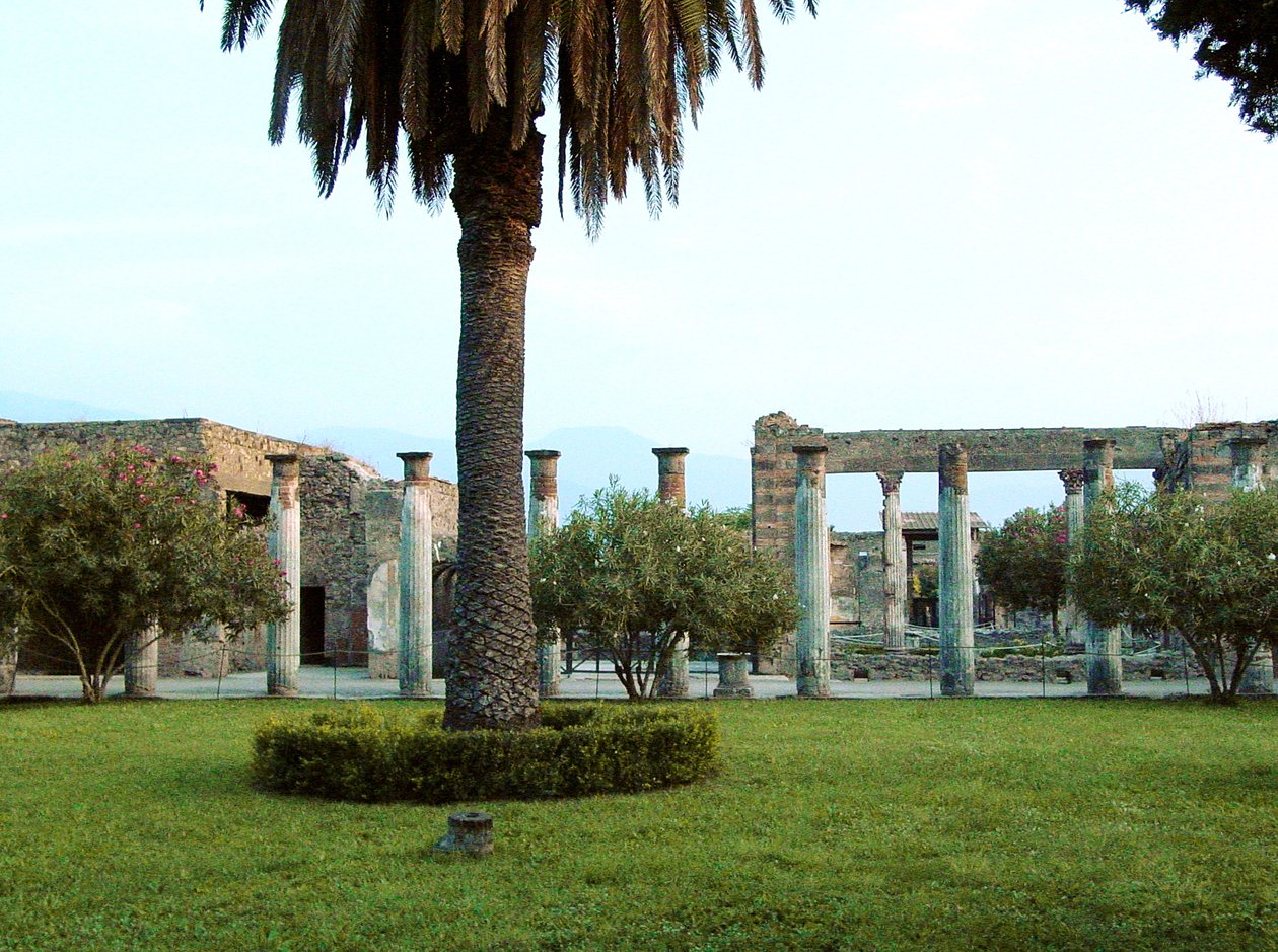Vista de la Casa de la Casa dei Vettii (Casa de los Vettii) de Roman