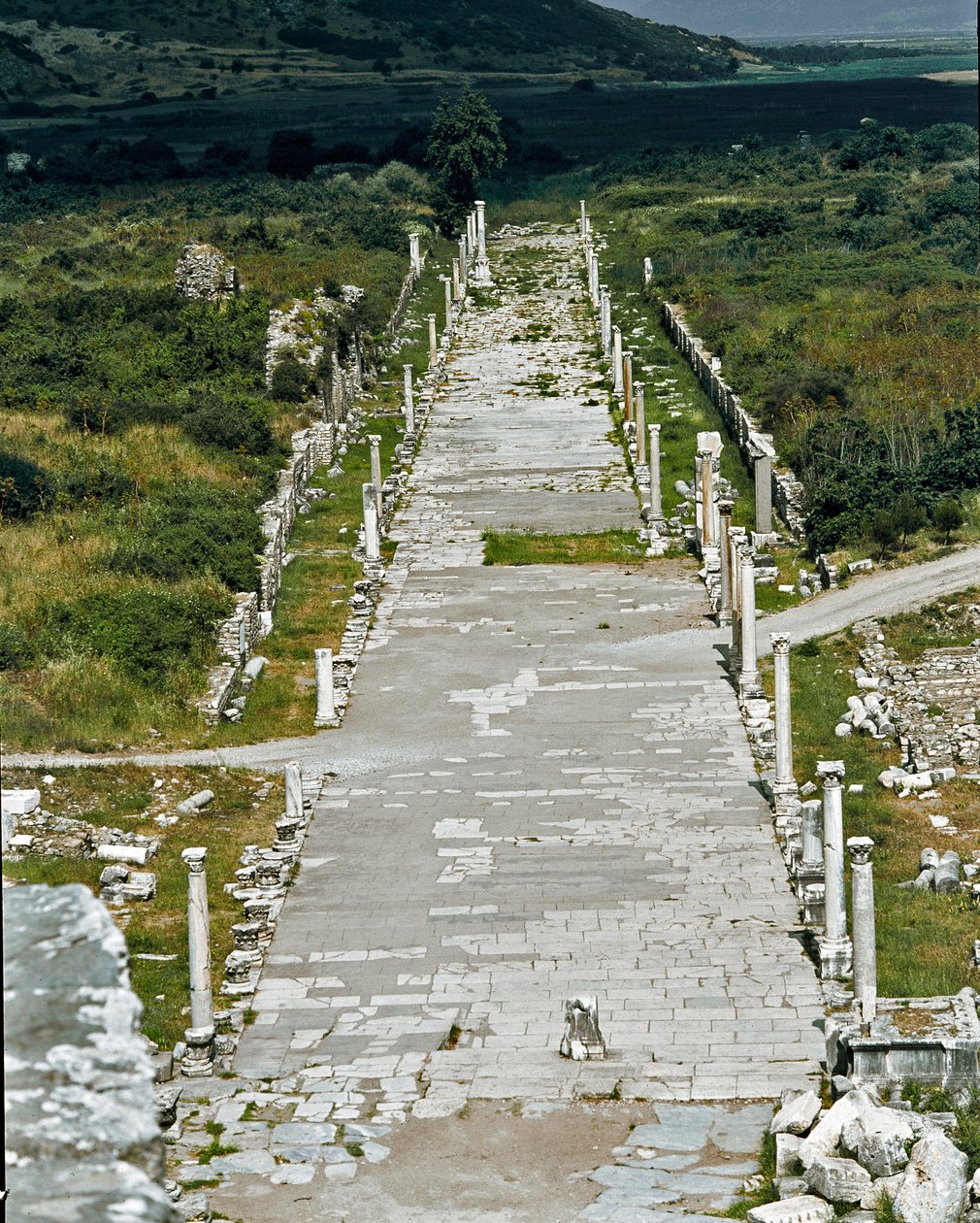 Vista del Camino del Puerto (o Camino Arcadio) que conecta el puerto con el teatro, siglo II de Roman