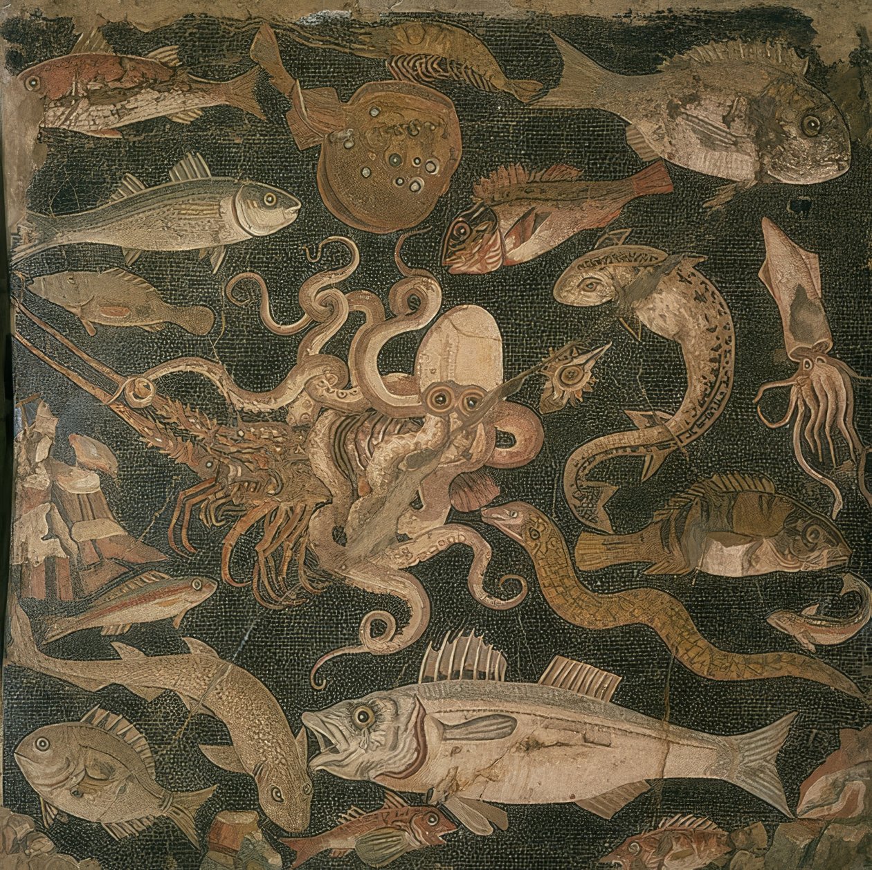Animales acuáticos, lucha entre un pulpo y una langosta de Roman
