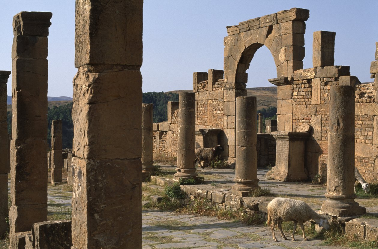 Cardo y entrada del Mercado de Cosinius, Alto Período Imperial (27 a.C.-395 d.C.) de Roman Imperial Period