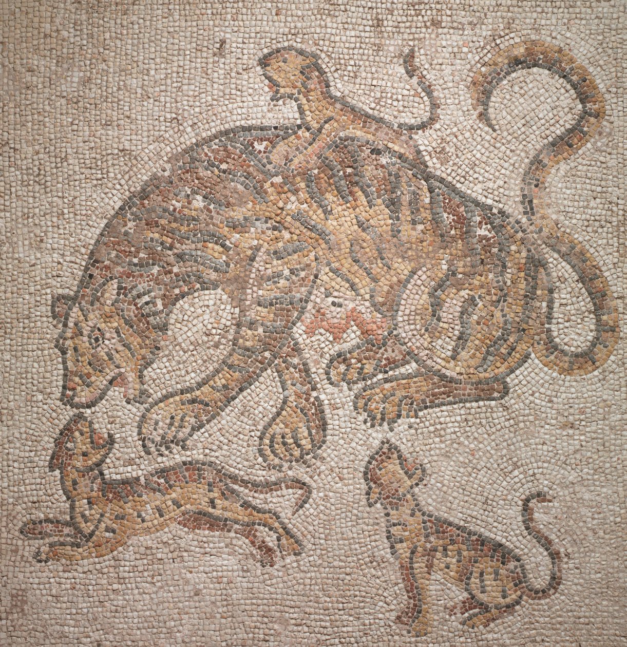 Tigresa y Cachorros, 300s de Roman Imperial Period