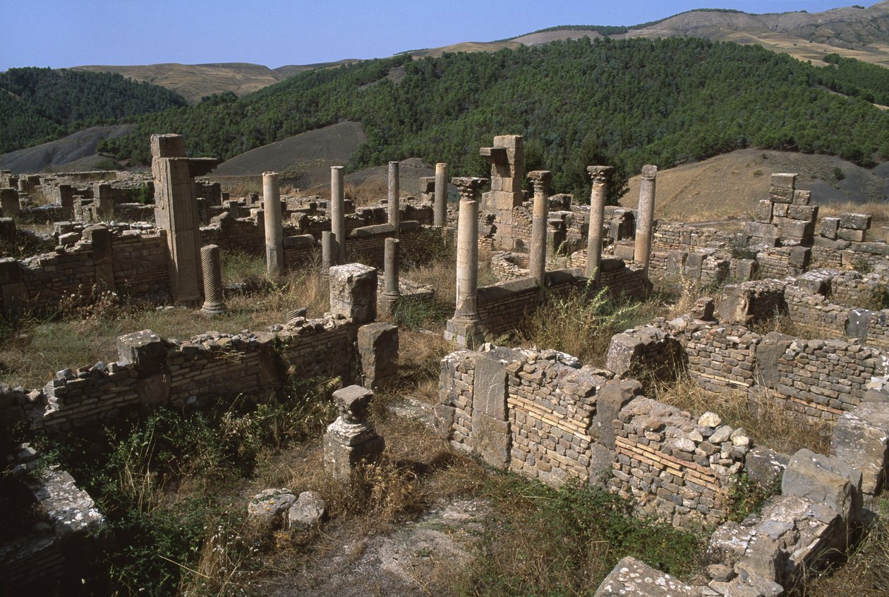 Vista de una zona residencial, Alto Período Imperial (27 a.C.-395 d.C.) de Roman Imperial Period