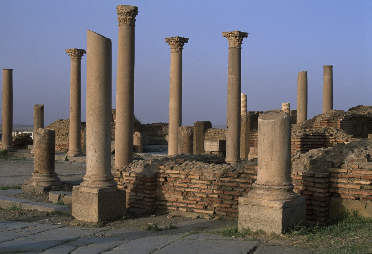 Vista de la Biblioteca, c.100 d.C., Período Alto Imperial (27 a.C.-395 d.C.) de Roman Imperial Period