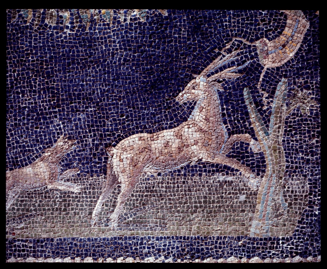 Detalle de mosaicos murales del ninfeo de la casa de Neptuno y Anfítrite de Roman Roman