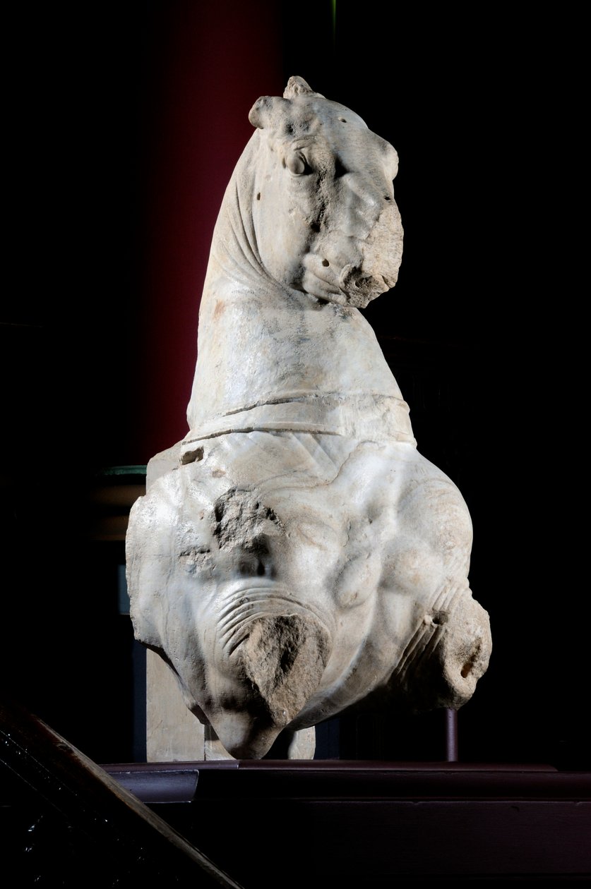 Parte frontal de un caballo de Roman Roman
