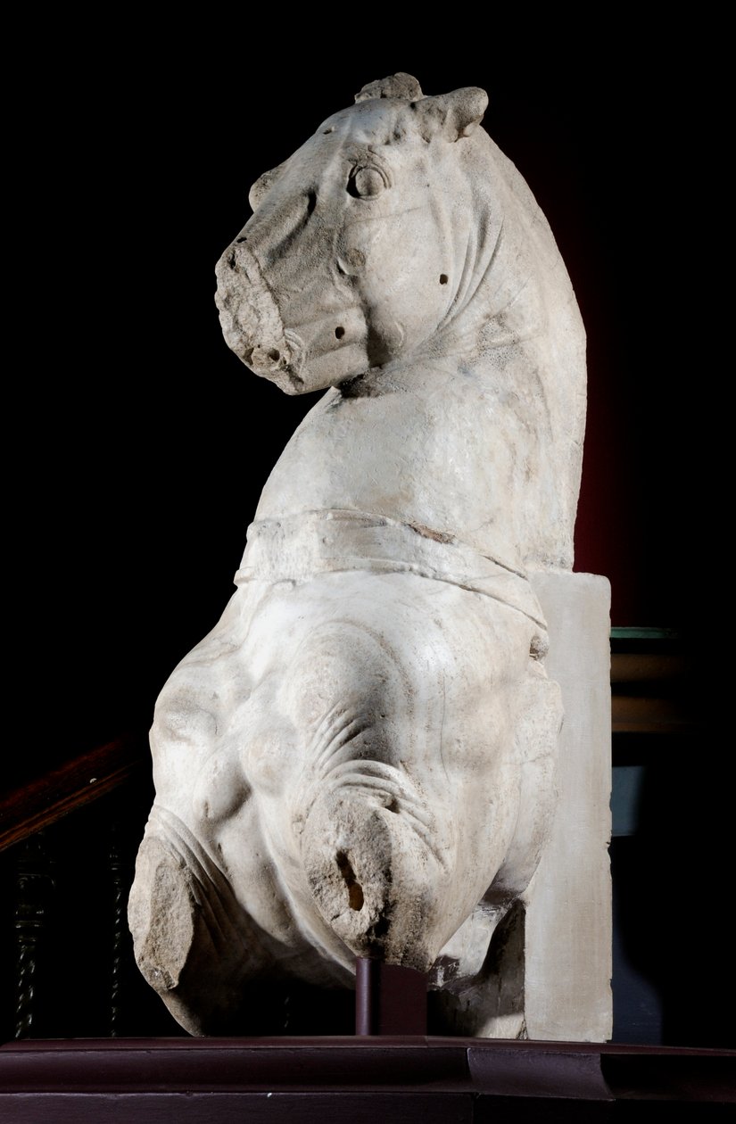 Parte frontal de un caballo de Roman Roman