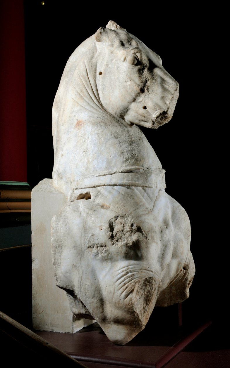 Parte frontal de un caballo de Roman Roman