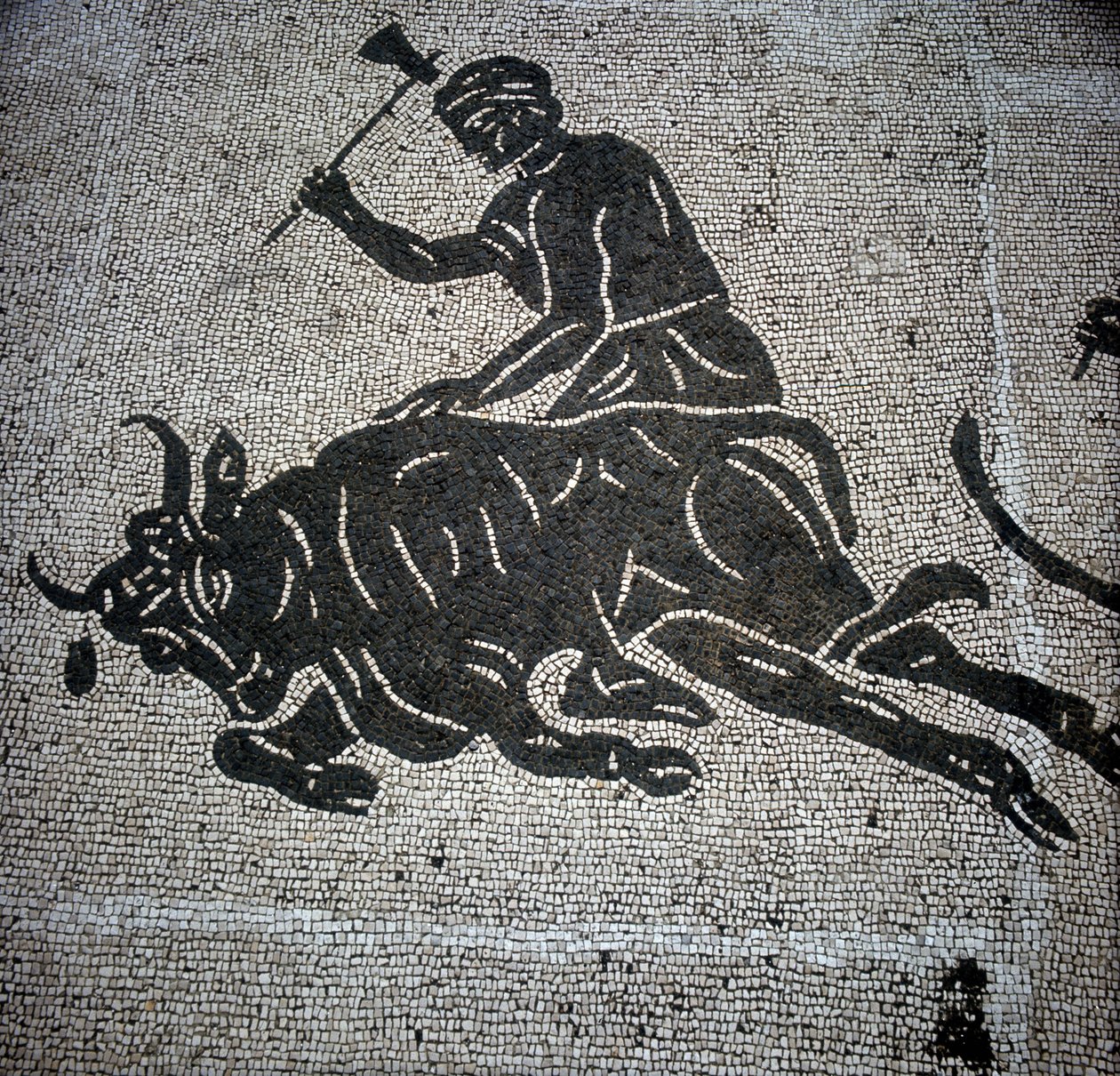 Mosaico que representa una escena de matanza de un toro encontrado en Ostia (Ostia) (cerca de Roma). Actualmente conservado en la antigua Sala de Bomberos de Ostia. de Roman Roman