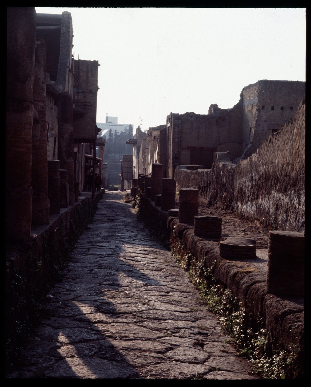 Vista de una calle, siglo V a.C.-siglo I d.C. de Roman Roman