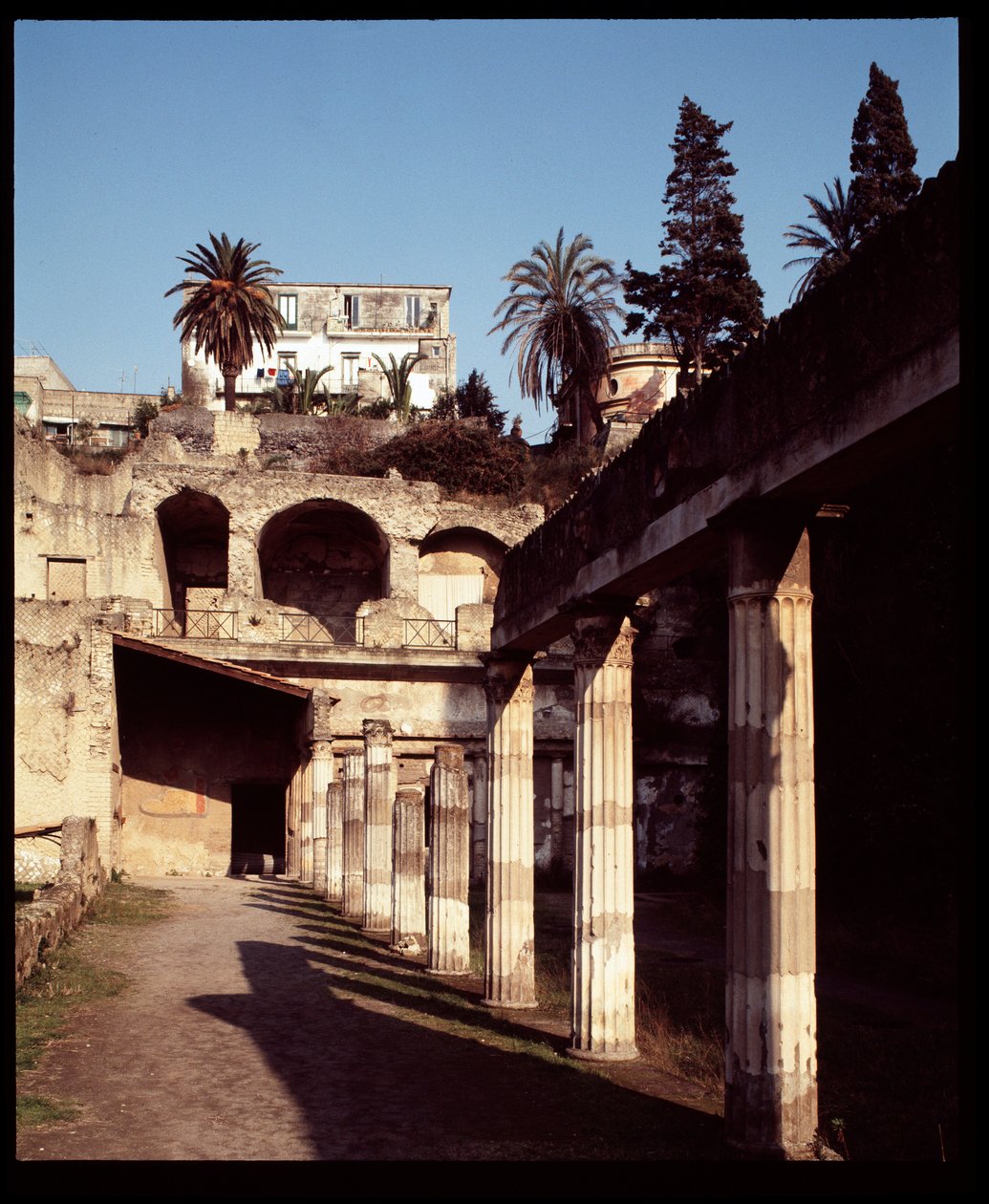 Vista de la palestra de Roman Roman