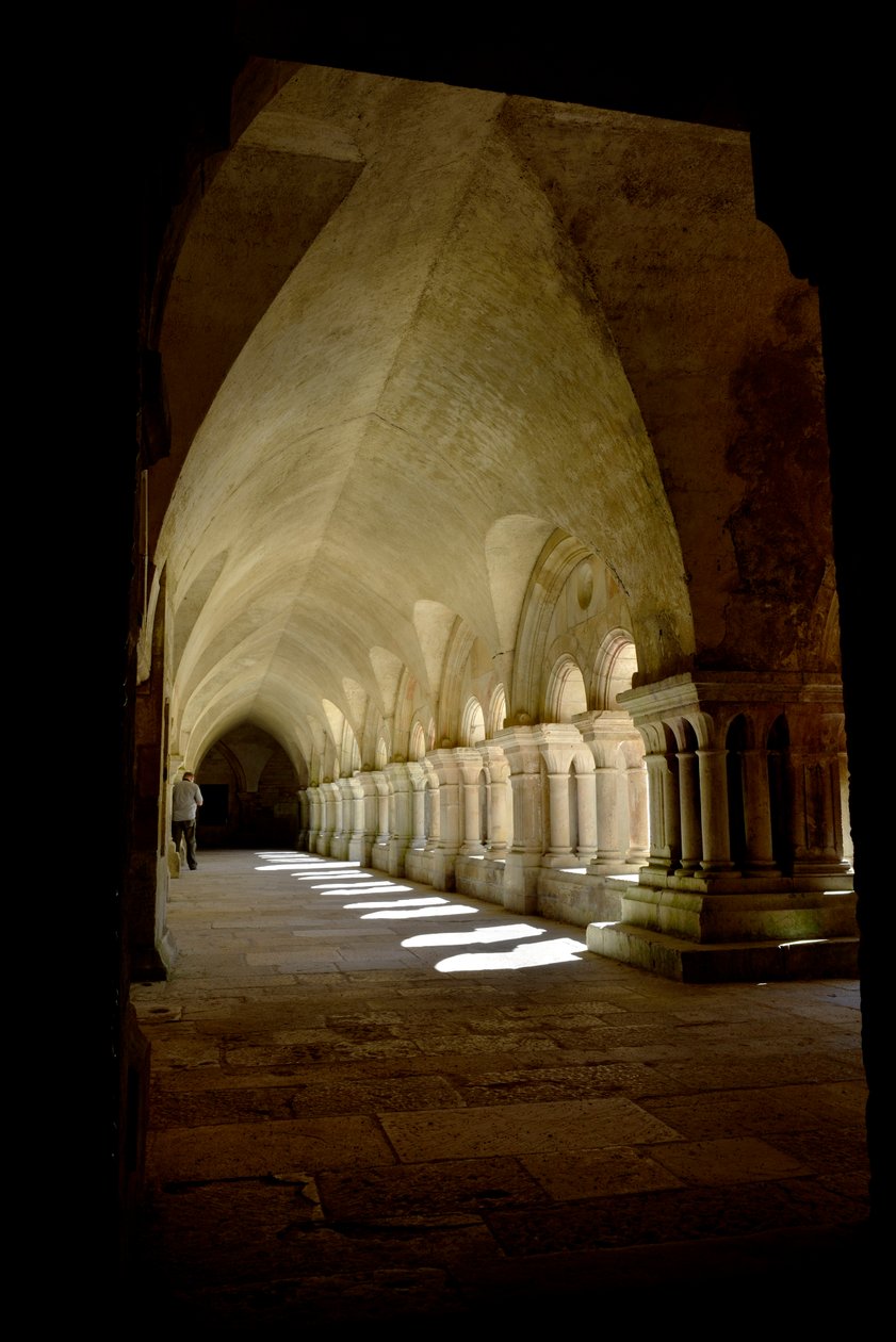 Arquitectura románica: galería del claustro de la abadía cisterciense de Fontenay, Borgoña de Romanesque