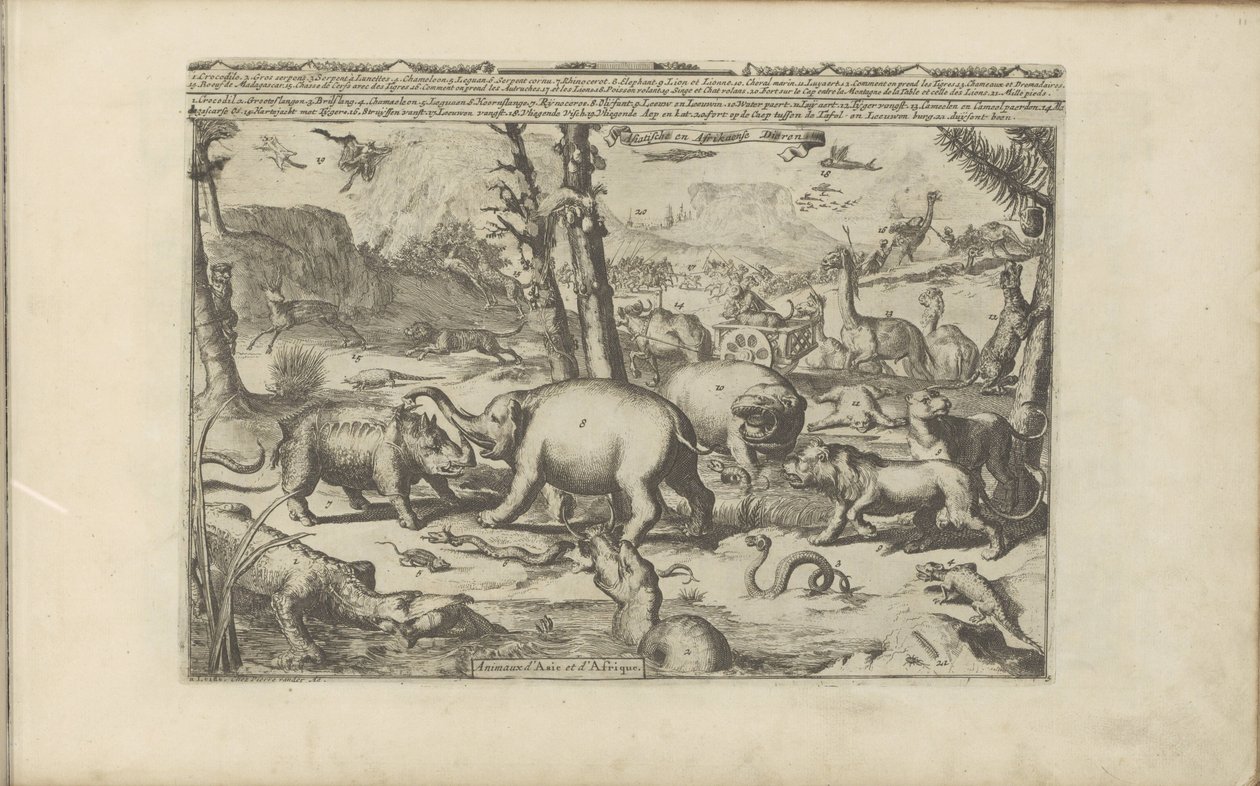 Aziatische en Afrikaanse dieren Aziatische en Afrikaanse dieren / Animales de Asia y África (título sobre el objeto) Las Indias Orientales y Occidentales y otros lugares (título de la serie) de Romeyn de Hooghe