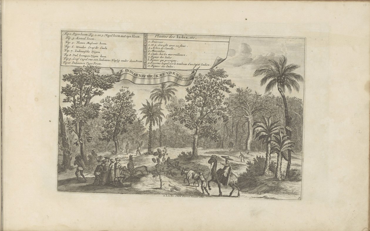 Bomen en specerijen Plantas indias, etc. / Indiaensche kruyden, etc. (título sobre el objeto) Las Indias Orientales y Occidentales y otros lugares (título de la serie) de Romeyn de Hooghe