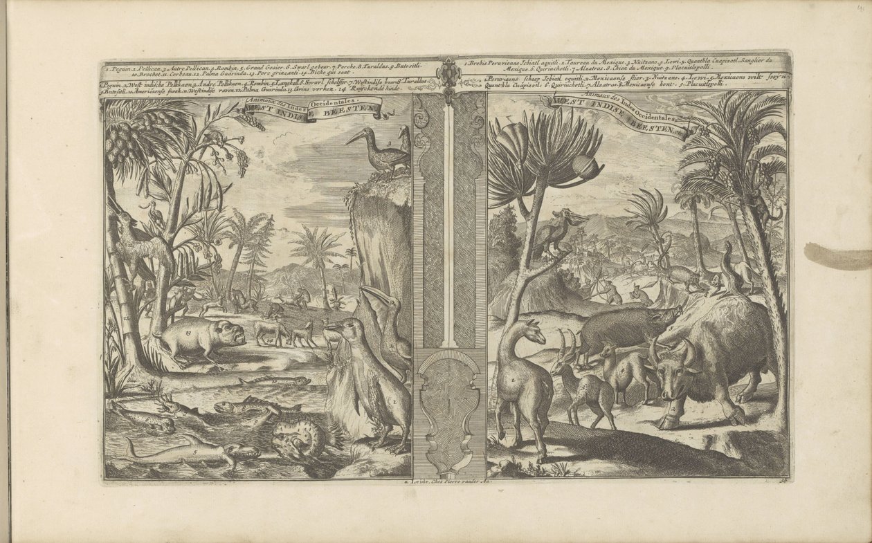Dieren uit West-India West Indische Beesten / Animales de las Indias Occidentales (título sobre el objeto) Las Indias Orientales y Occidentales y otros lugares (título de la serie) de Romeyn de Hooghe