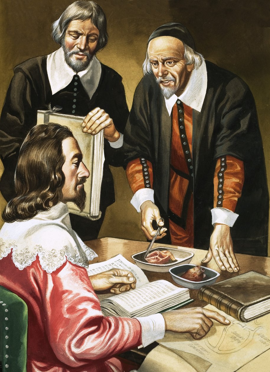 Carlos I y William Harvey discuten sobre el corazón de Ron Embleton