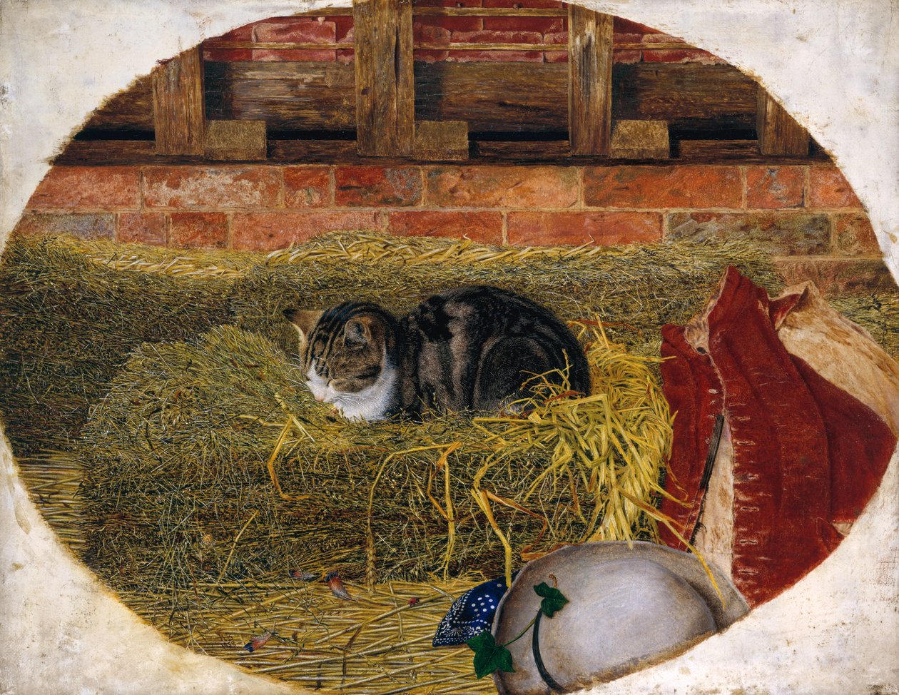 Siesta del gato, 1858 de Rosa Brett