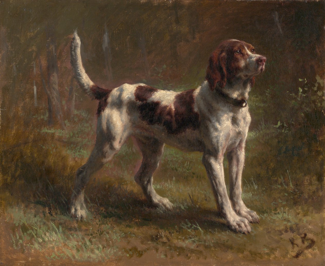 Un sabueso Limier Briquet, ca. 1856 de Rosa Bonheur