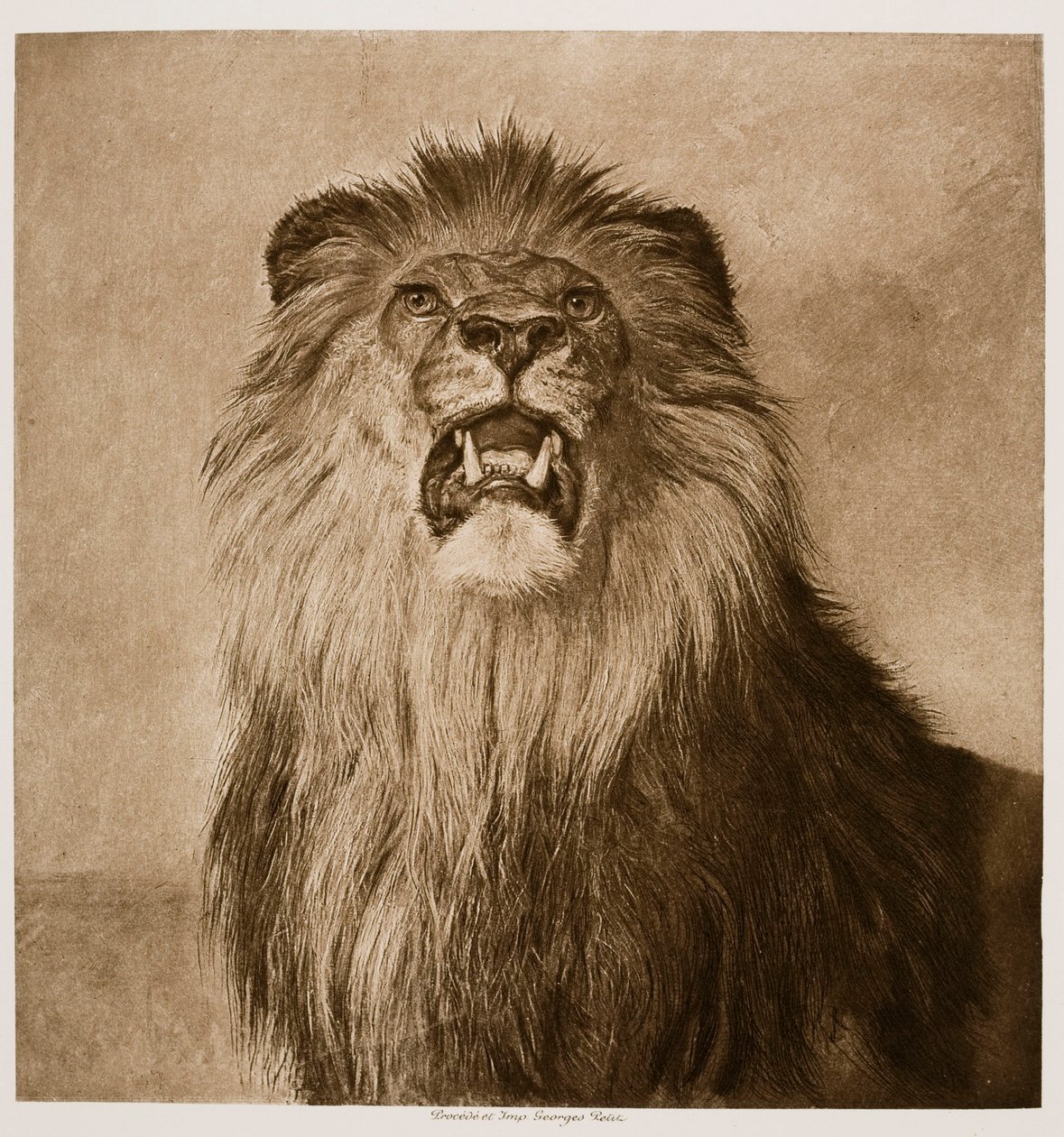 León rugiente de Rosa Bonheur