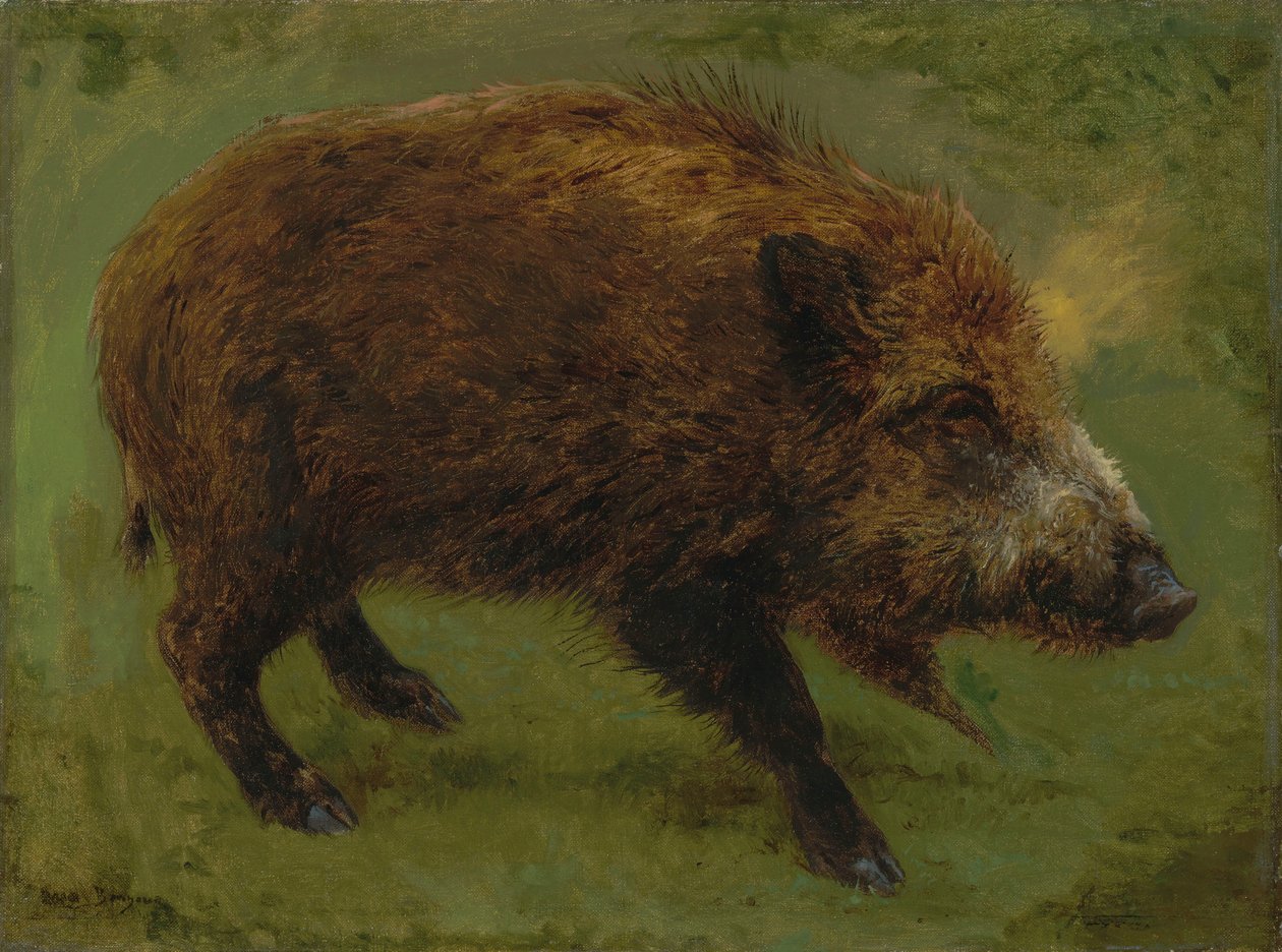 En francés:  Le sanglier Jabalí de Rosa Bonheur