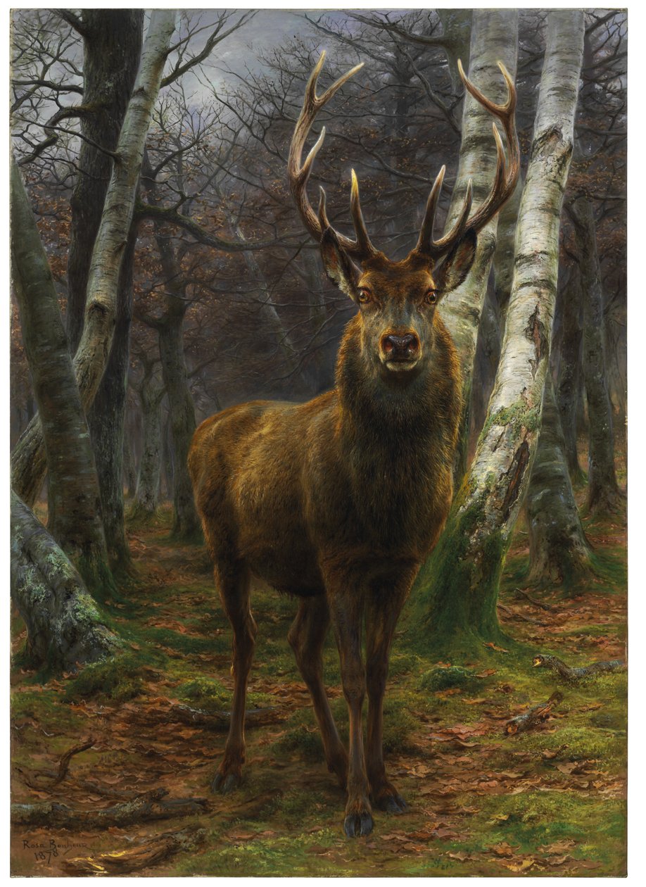 Rey del bosque, 1878 de Rosa Bonheur