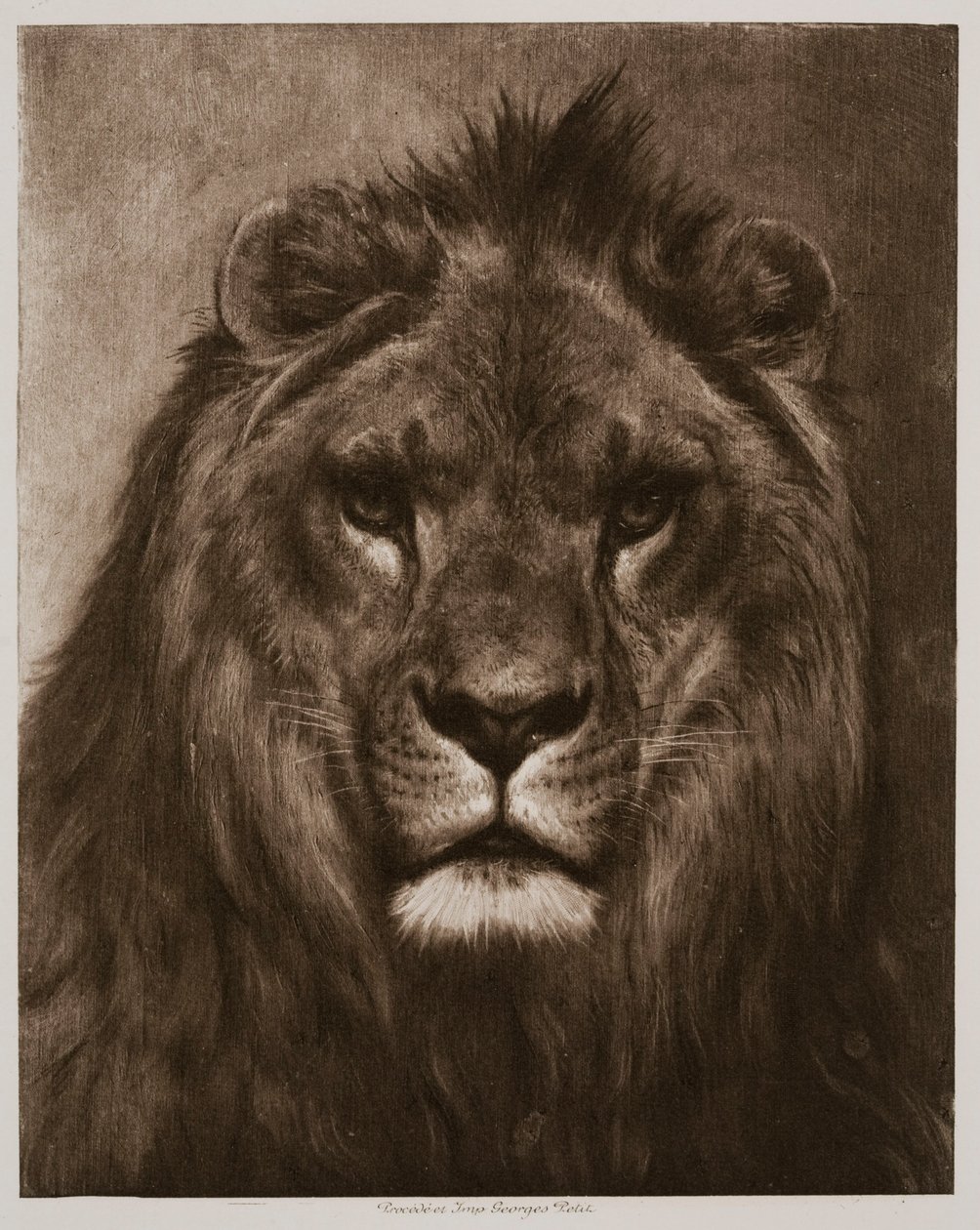 León de Rosa Bonheur