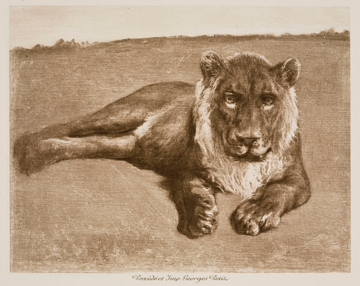León de Rosa Bonheur