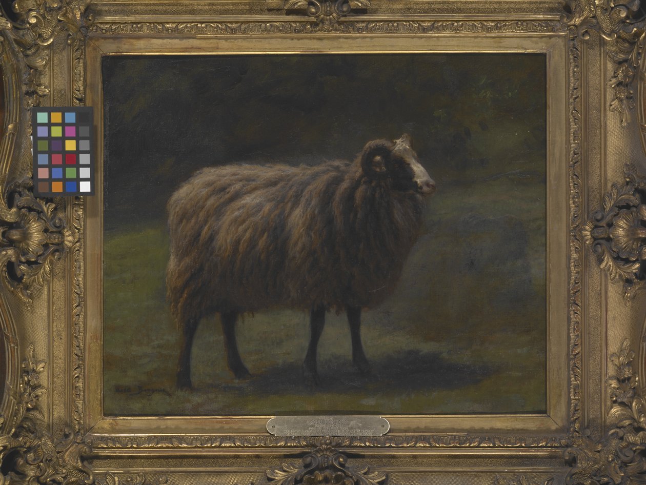 Ram (óleo sobre lienzo) de Rosa Bonheur