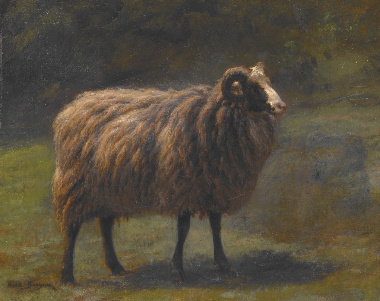 Carnero de Rosa Bonheur