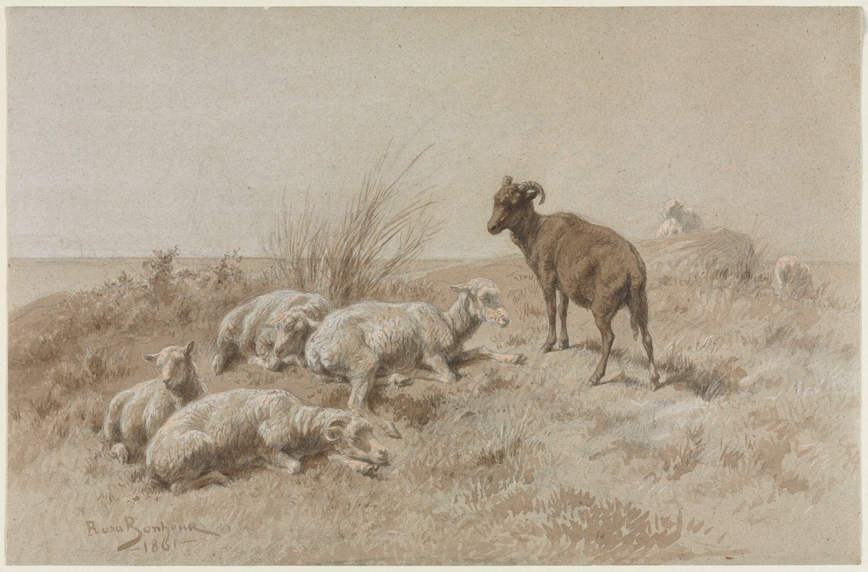 Oveja de Rosa Bonheur