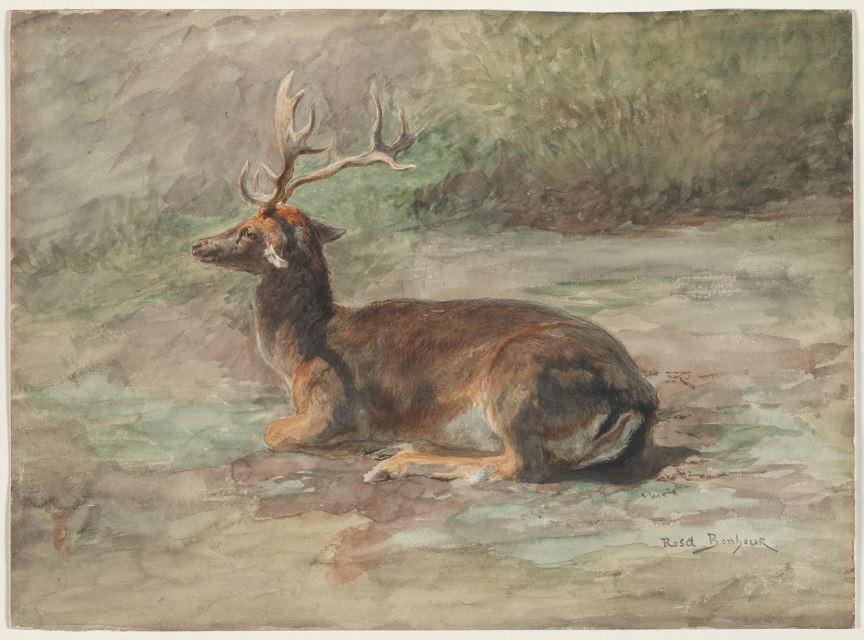 Stag Lying Down de Rosa Bonheur