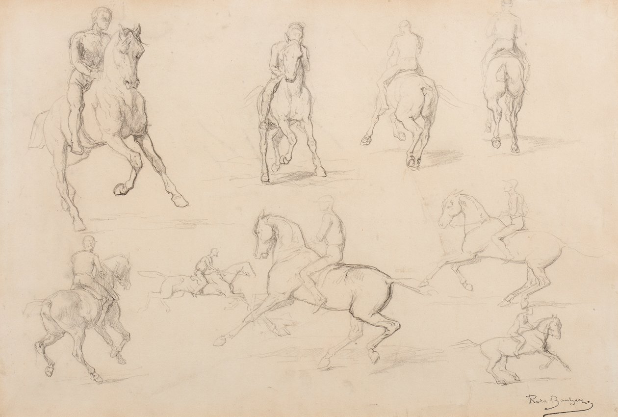 Estudios de un caballo y un jinete (grafito sobre papel Wove) de Rosa Bonheur