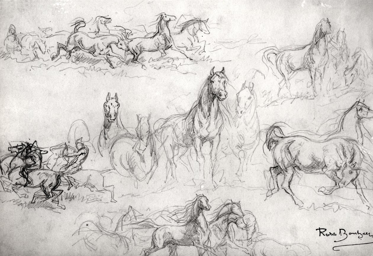 Estudio de Caballos de Rosa Bonheur