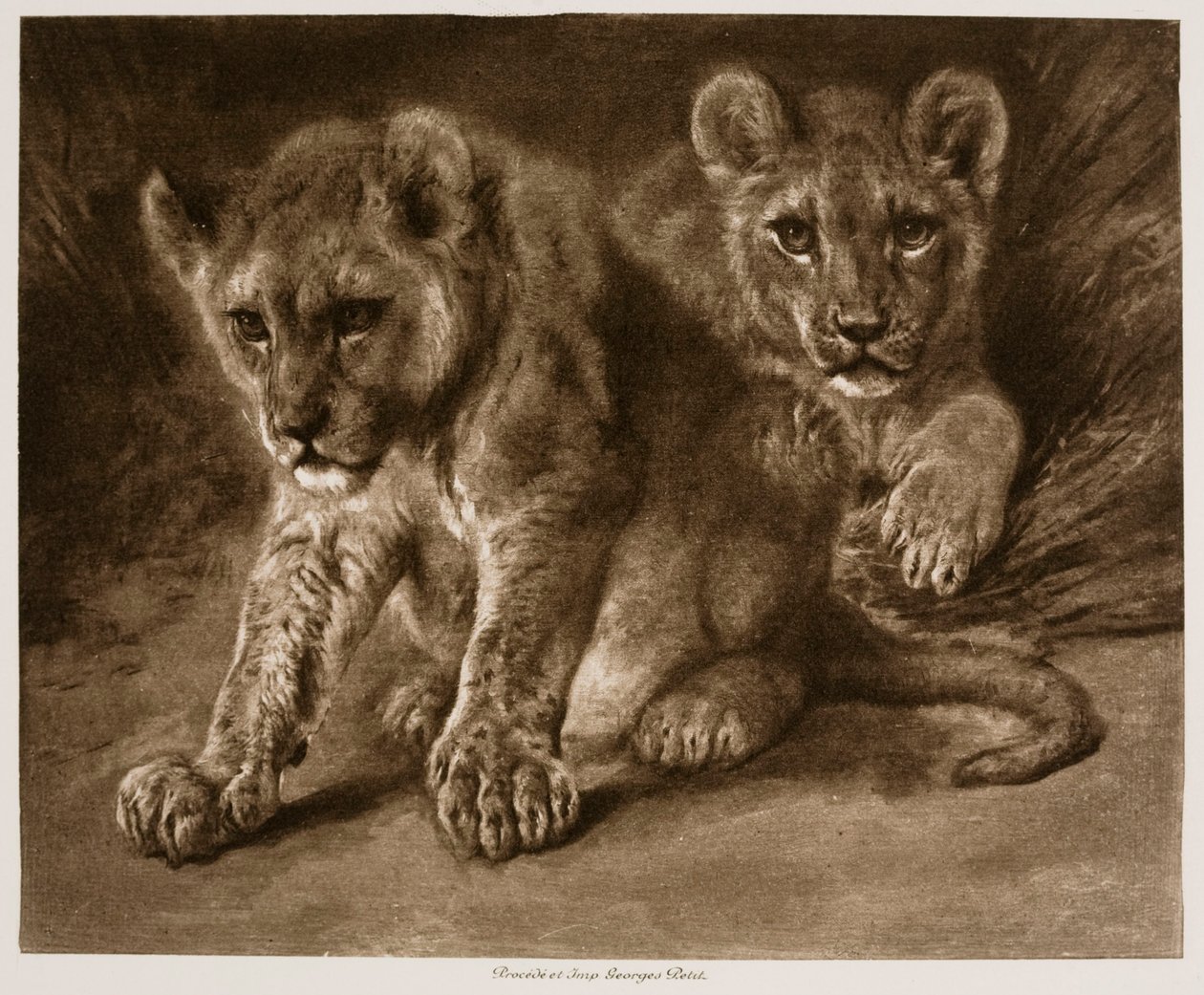 Dos cachorros de león de Rosa Bonheur