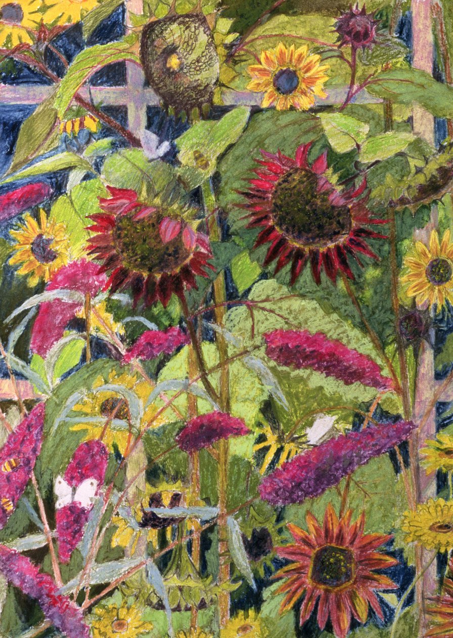 Flores del sol de Rosalie Bullock