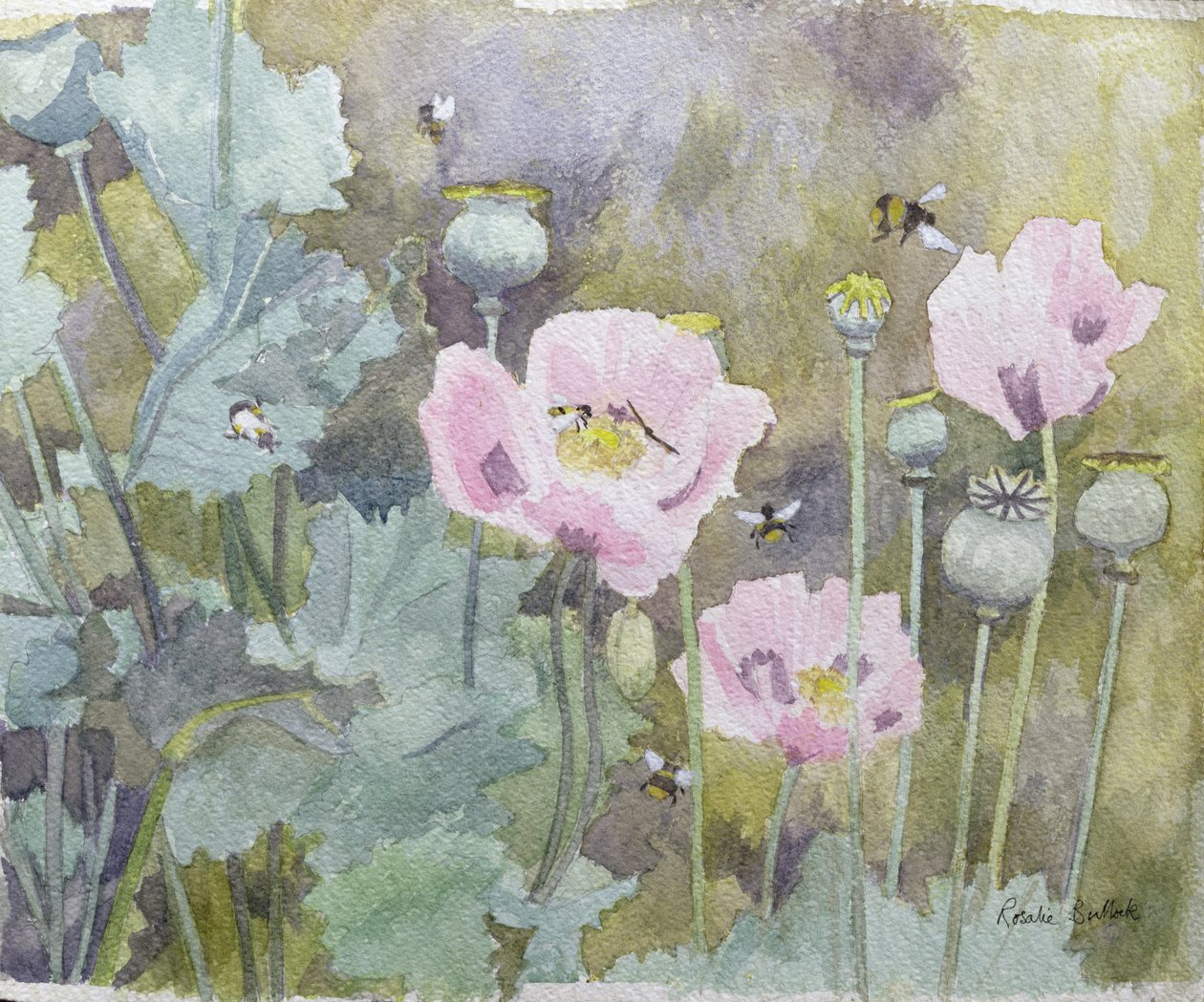 Amapolas rosadas con abejas de Rosalie Bullock