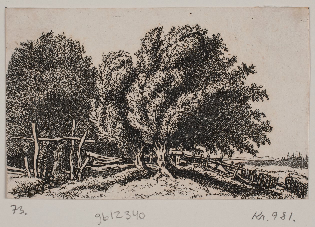 Paisaje de Rosalie Holm